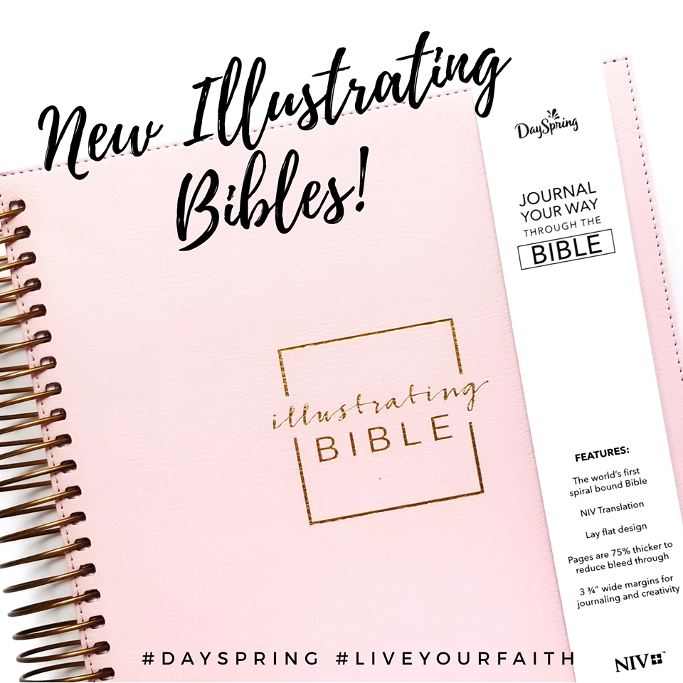 New Dayspring NIV Illustrating Bibles!